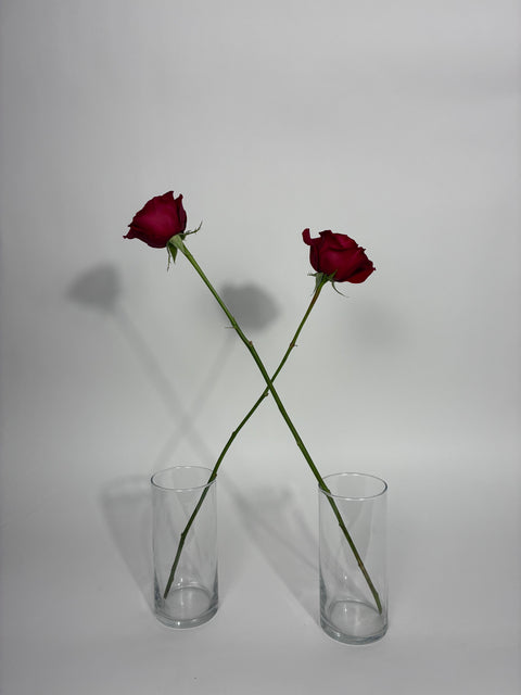 Red Rose Stem (No Wrap)